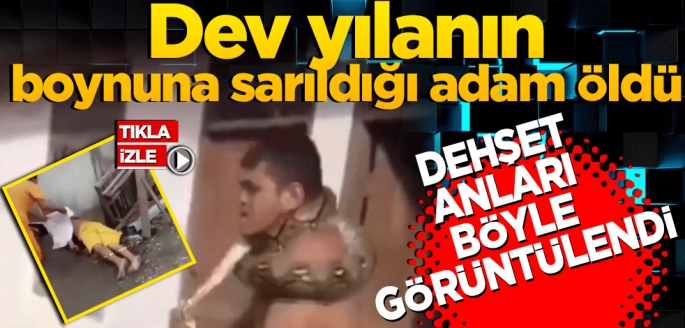 Dev yılanın, boynuna sarıldığı adam öldü! Dehşet anlar şoke etti