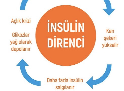 İnsülin Direnci Nedir? 