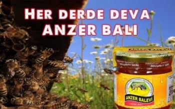 Anzer balı nedir ve nerede üretilir?