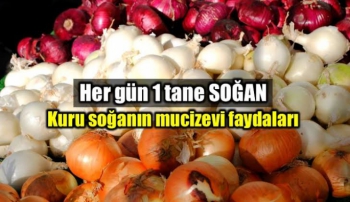 Kuru soğanın sağlığa faydaları! Kuru soğan faydaları ve zararları nelerdir?