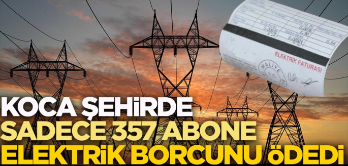 Koca şehirde sadece 357 kişi elektrik borcunu ödedi