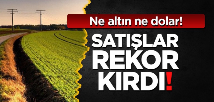 Ne altın, ne ev ne de araba! uzmanlar tavsiye verdi: Yatırımcılar gerçek satış tarlaya ve buraya yapılıyor!